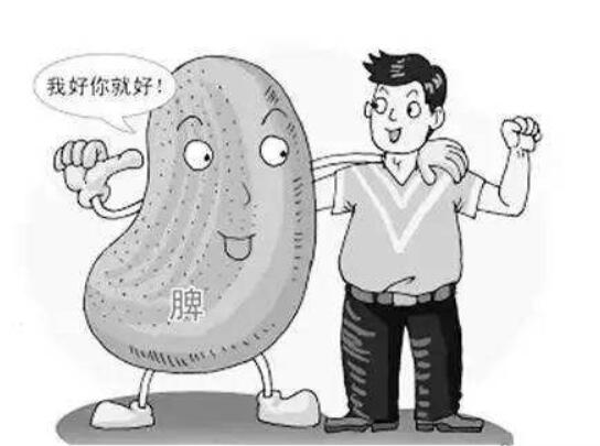 养生大师教你十种养脾胃最有效的方法，食补养脾最有效果