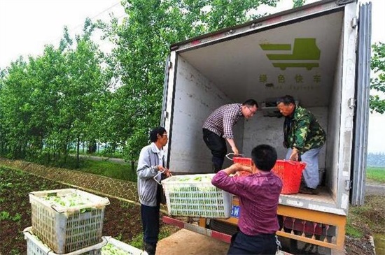 2018农村最缺什么市场，盘点十种投资回报大的农村项目