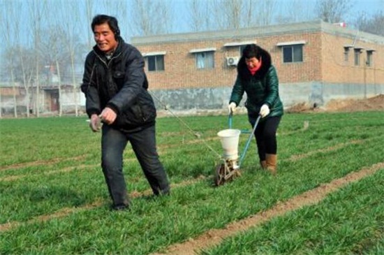 基肥和追肥有什么区别，基肥改善土壤追肥提供养分