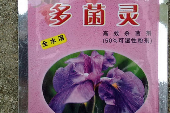 多菌灵泡根后要阴干吗