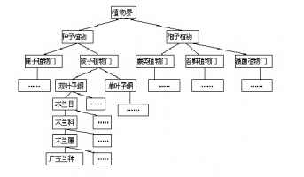 植物如何分类：分为