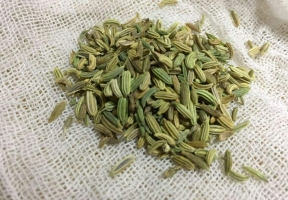 大小茴香的区别：大茴香外观有八个角，也叫八角；小茴香外观和颜色与谷壳较相似