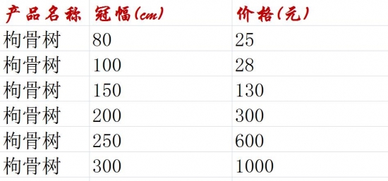 枸骨树的价格