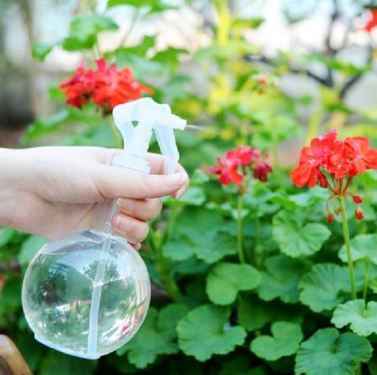 用糖浇花