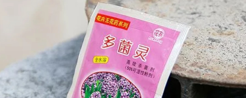 多菌灵冬天可以使用吗